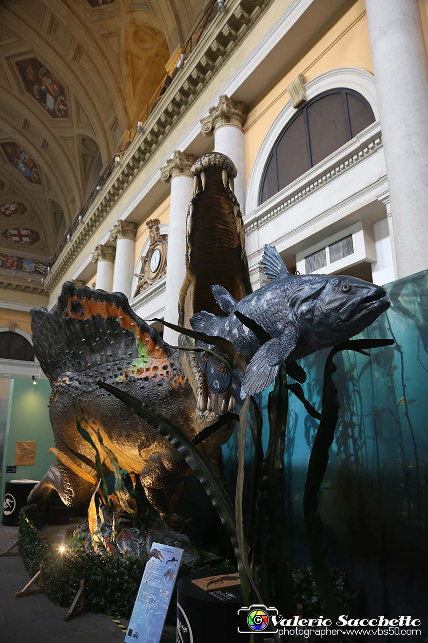 VBS_0955 - Dinosauri. Terra dei giganti.jpg